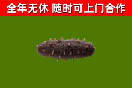 景东县烟酒回收干海参.jpg